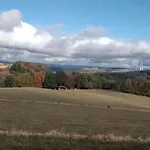 Vergissmeinnicht *