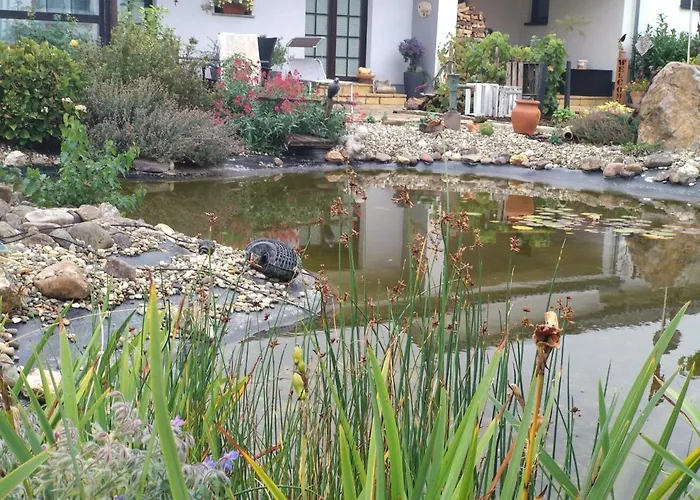 Vergissmeinnicht Daire