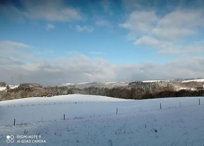 Daire Vergissmeinnicht